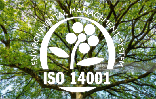 Baum im Hintergrund mit Piktogramm-Stempel für ISO 14001 – Umweltmanagementsystem